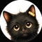 久世ナツキ｜人生のクセが強い🐈‍⬛