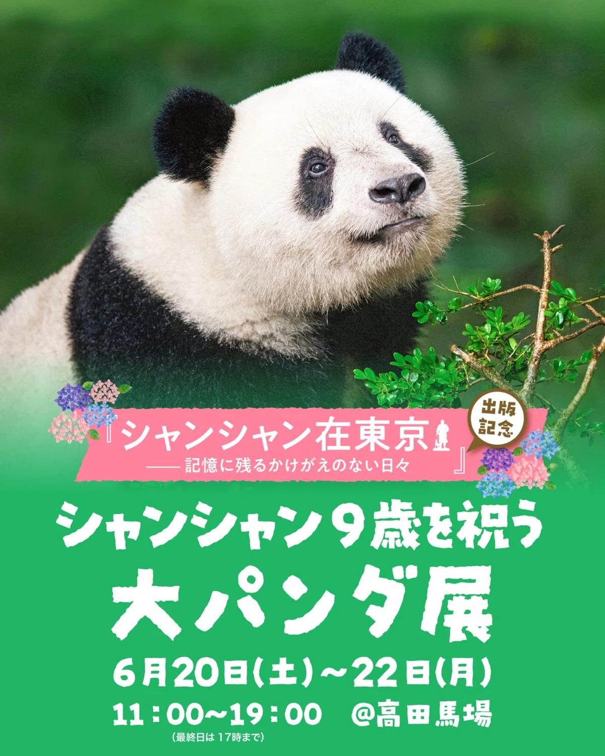 上野案内所で写真集『シャンシャン在東京――記憶に残るかけがえのない