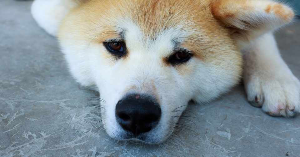 ドラッグストア従業員の独り言 ここ自分の店じゃないのですが 竹乃子椎武 たけのこ しいたけ Note