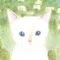 前田まゆみ