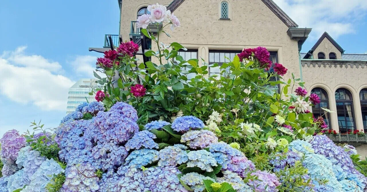 秋色紫陽花とラナンキュラスとカワラハハコのドライフラワーリ－ス❁⃘*.゜ 東京ガーデンテラス紀尾井町 ニコライバーグマン×福山ローズ・紫陽花