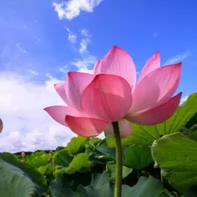 慈温