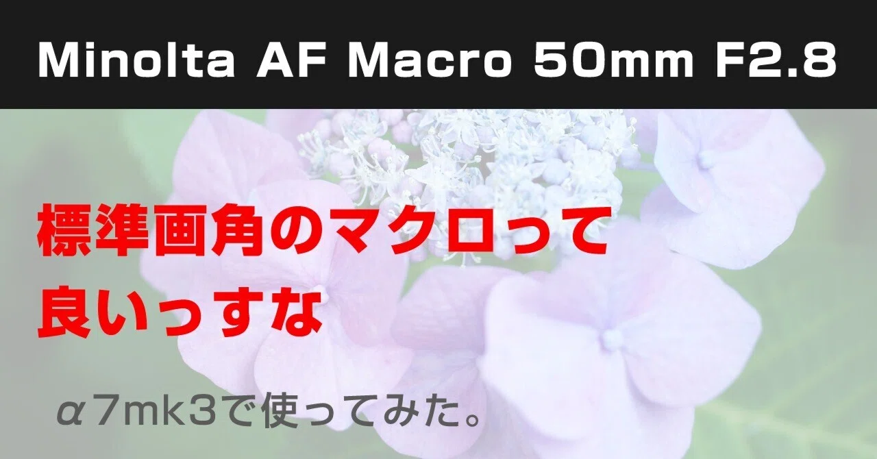 Minolta AF Macro 50mm F2.8｜アノカメラ