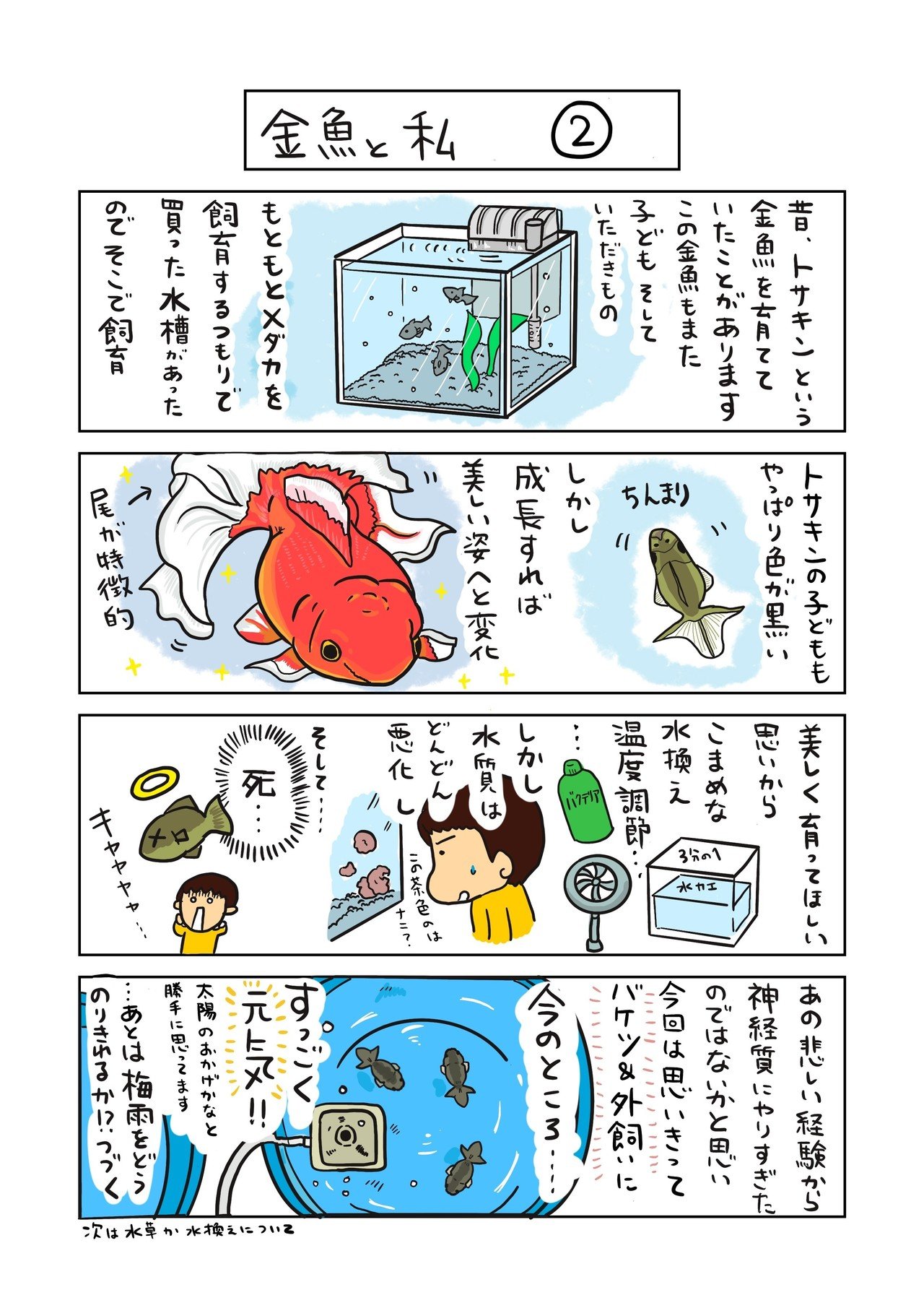 99以上 美しい 金魚 絵 99以上 美しい 金魚 絵
