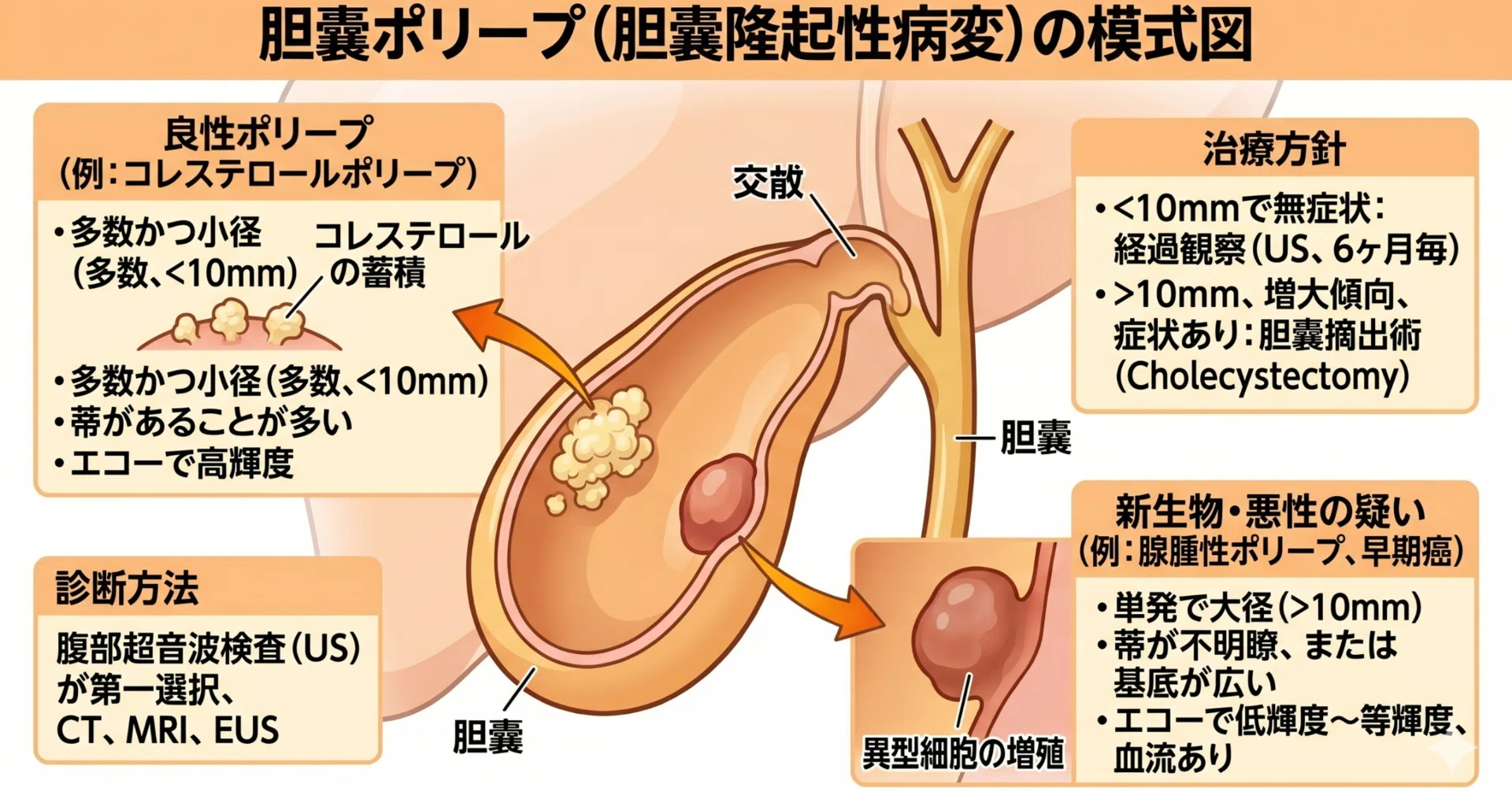 胆嚢 ポリープ 原因