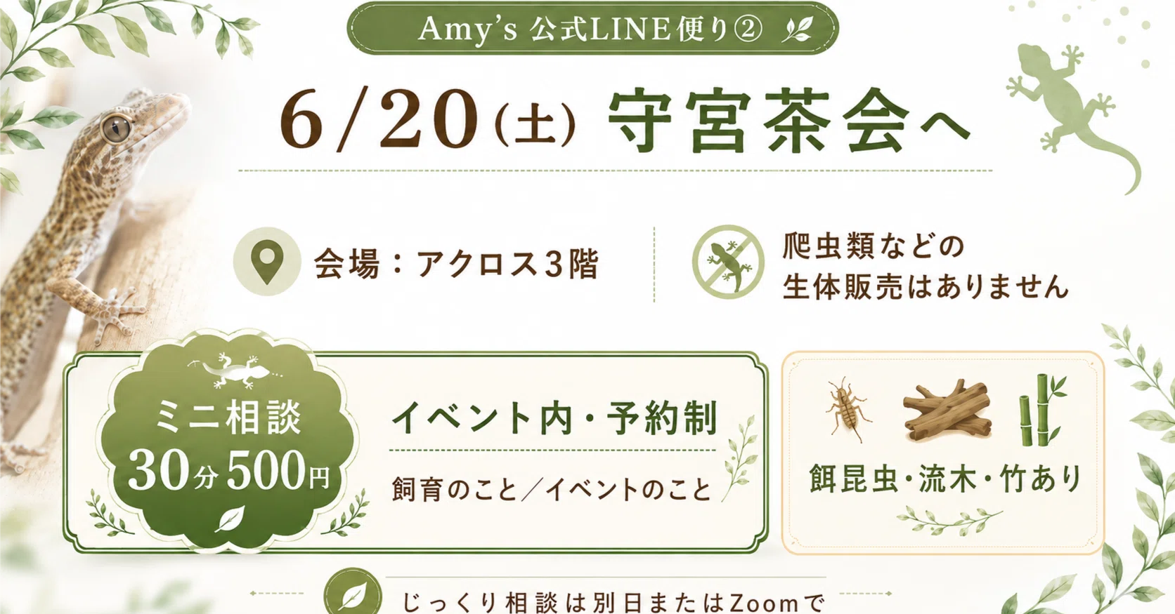 爬虫類用品　まとめ売り　引き取り限定 Amy's公式LINE6月🐸便り②｜生きものラボ大東setsuko×Amy's