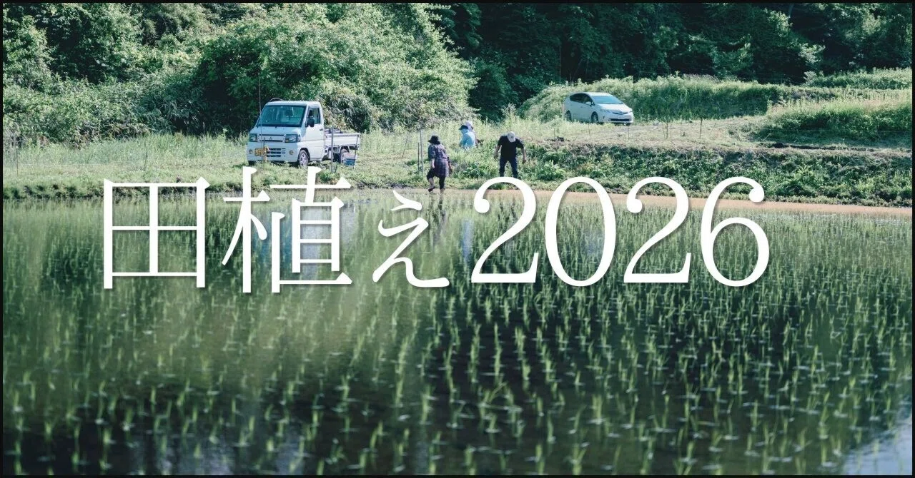 田植え2026前編｜ハシモト