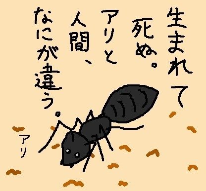 アリ