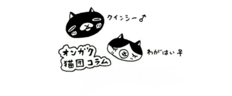華麗なる梍（サイカチ）【オンガク猫団コラムvol.28】