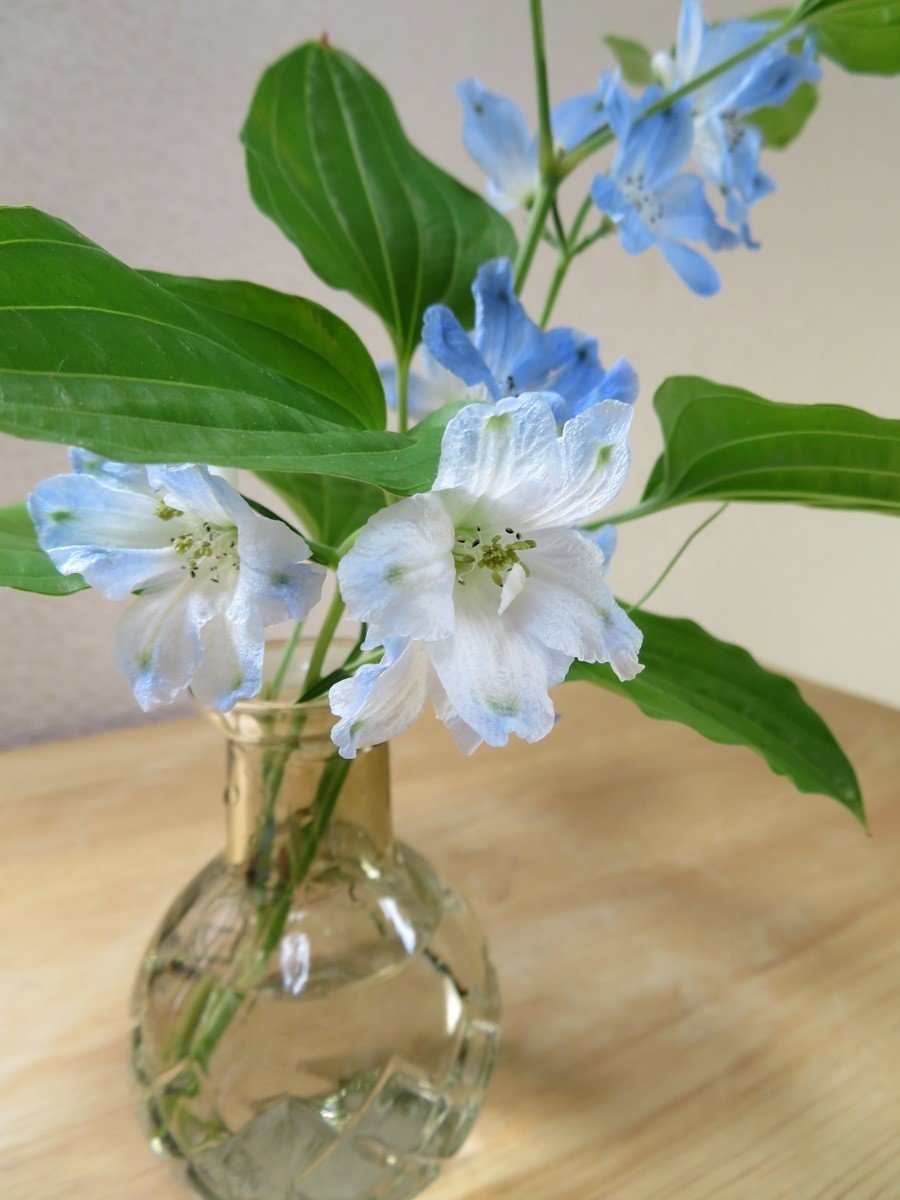 しとしと雨の小瓶花飾り 花と日々 Yas Note