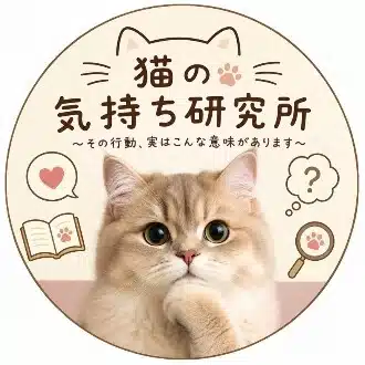 猫の気持ち研究所