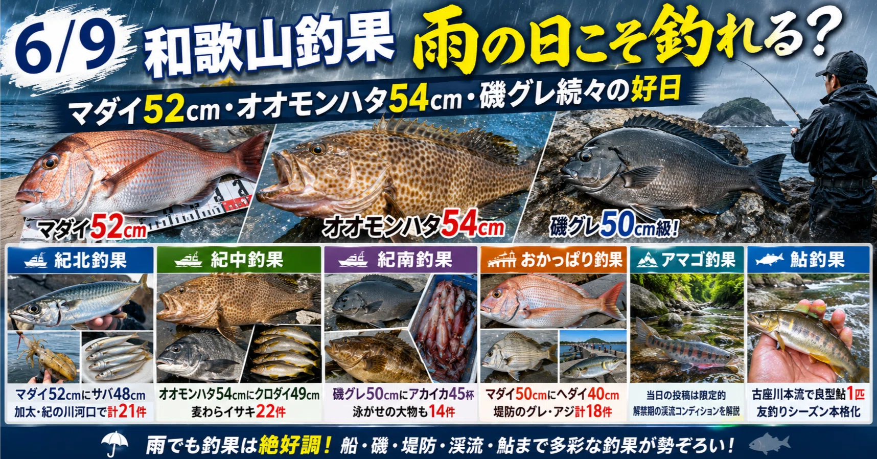 6/9 和歌山釣果】雨の日こそ釣れる？マダイ52cm・オオモンハタ54cm・磯