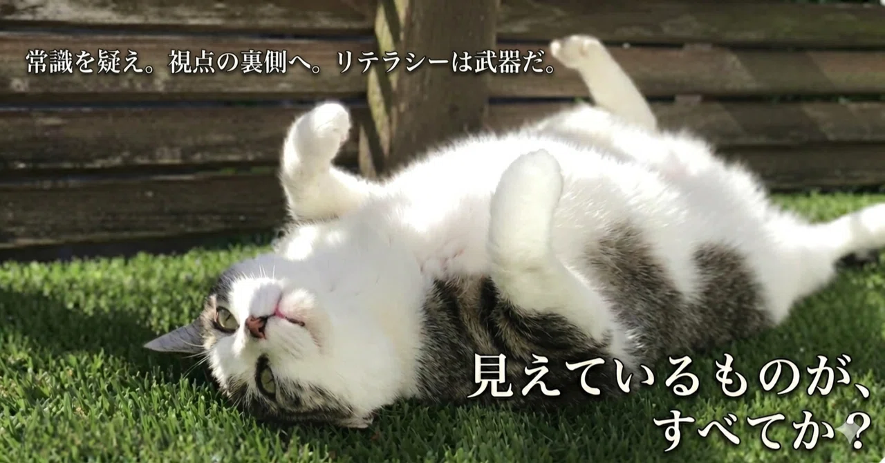 見出し画像