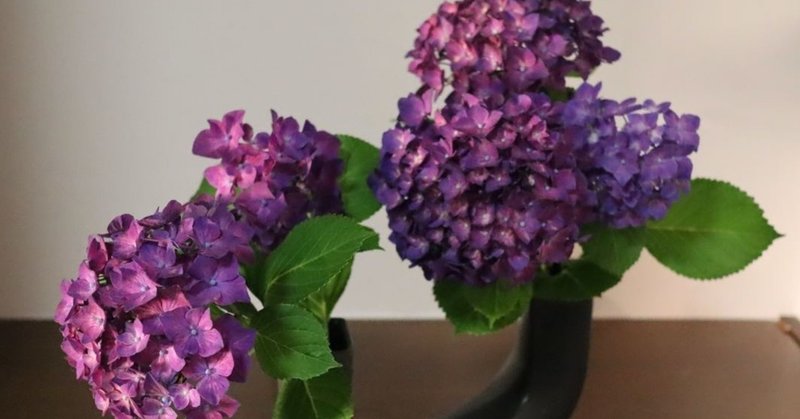 わが家の生け花マガジン 2 紫陽花 グローバルこうちゃん Note わが家の生け花マガジン 2 紫陽花 グローバルこうちゃん Note