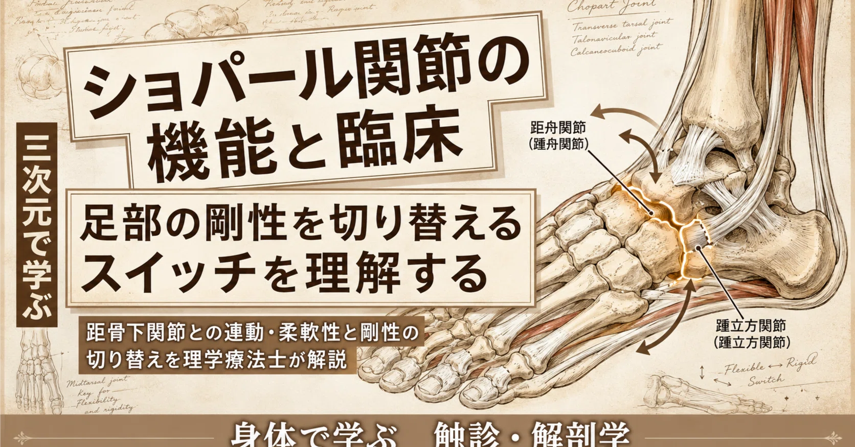 ショパール関節｜足部の