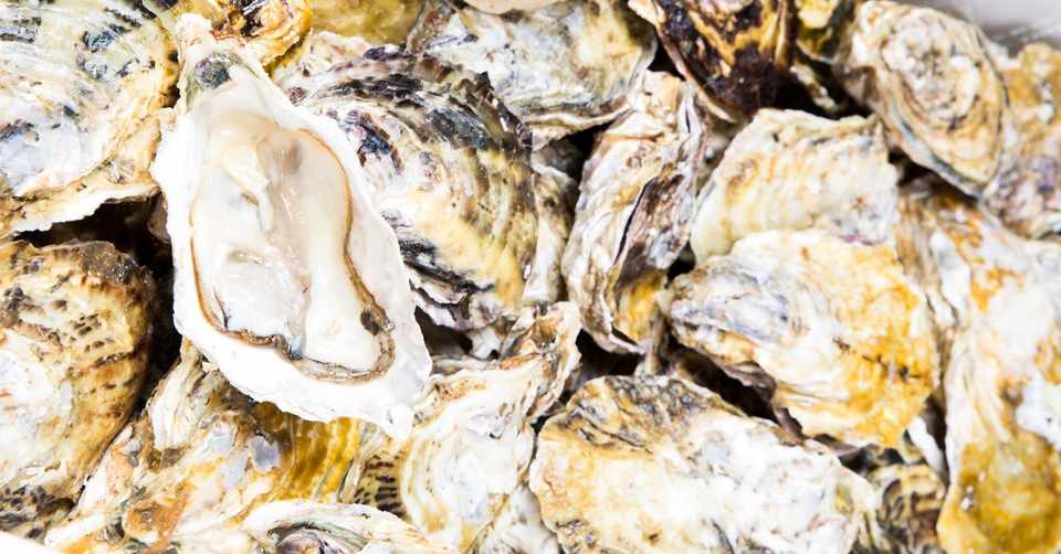 牡蠣のすゝめ Koko Note