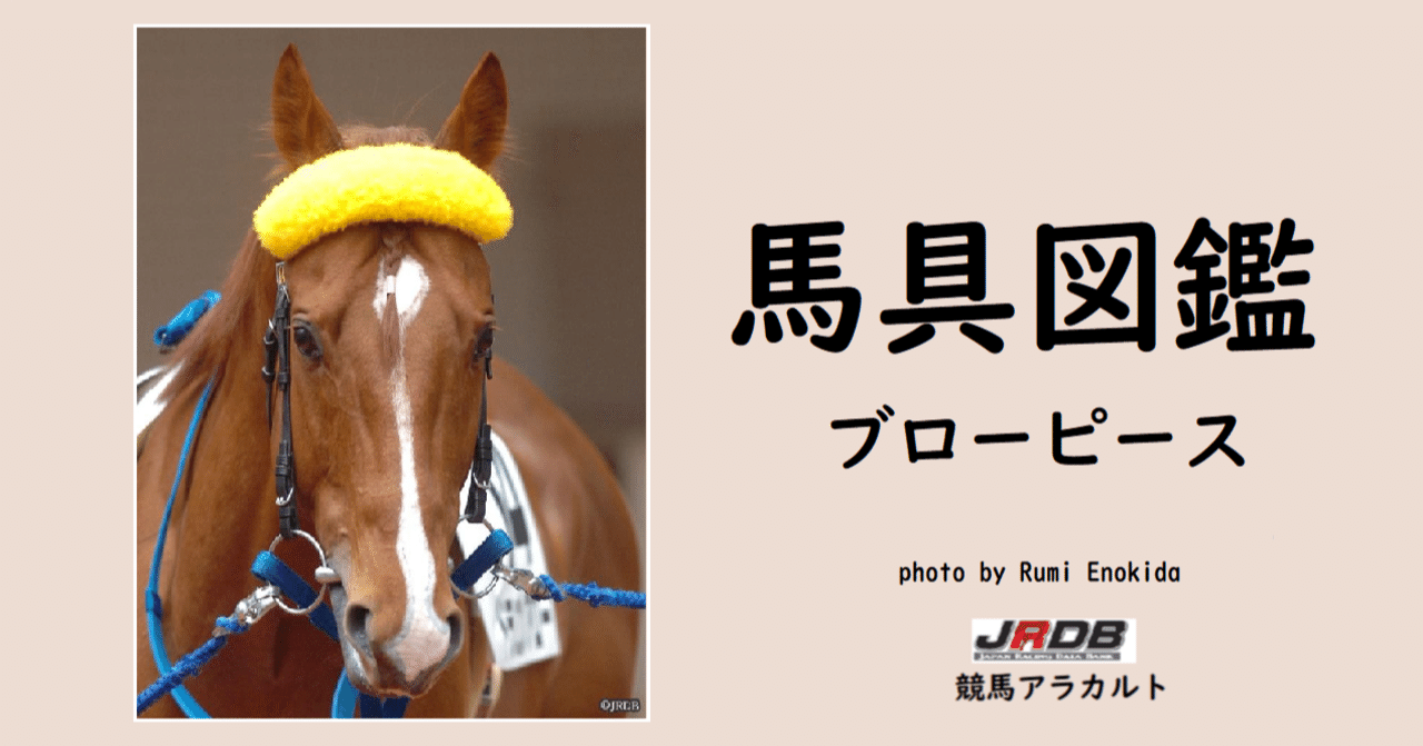 トライアビット 競馬ハミ使用済み