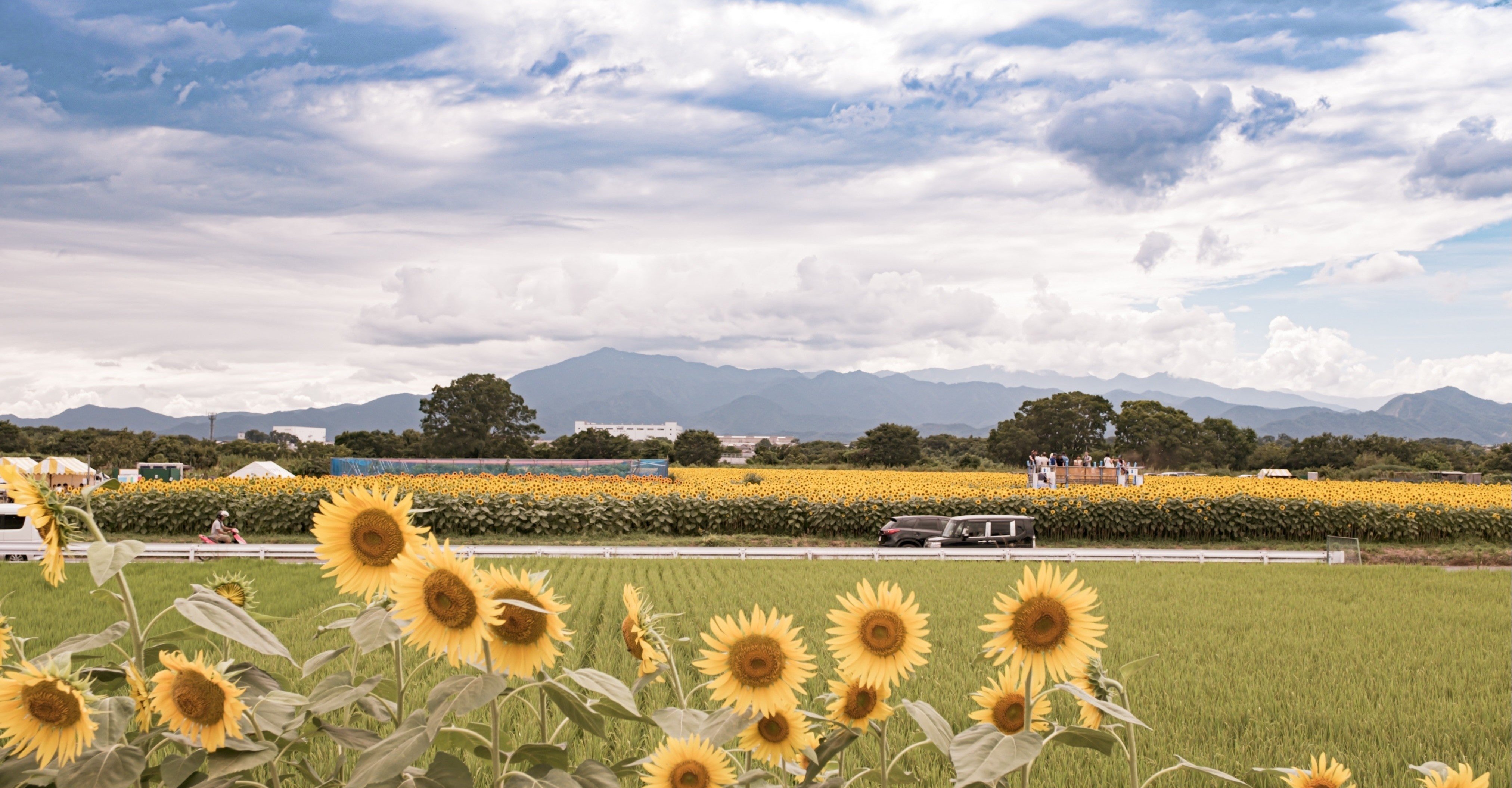 126字 最高の休息 科学的に正しい休日の過ごし方から日々の休息の取り方 Tatsuya Kato Note