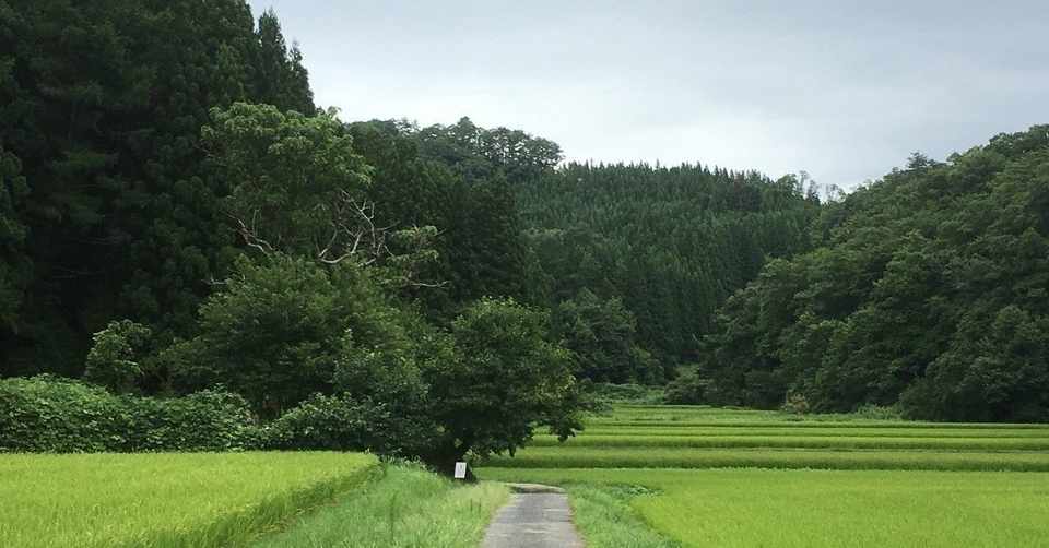 我が家のトトロ さくらいかおり Note