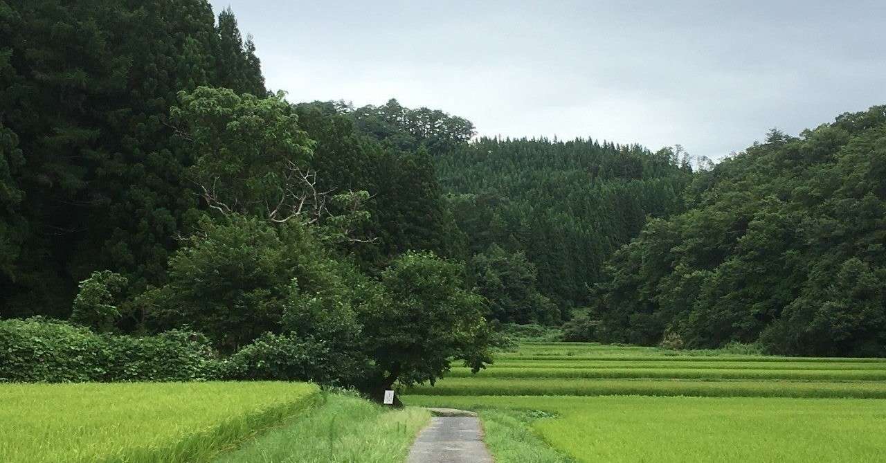 我が家のトトロ さくらいかおり Note