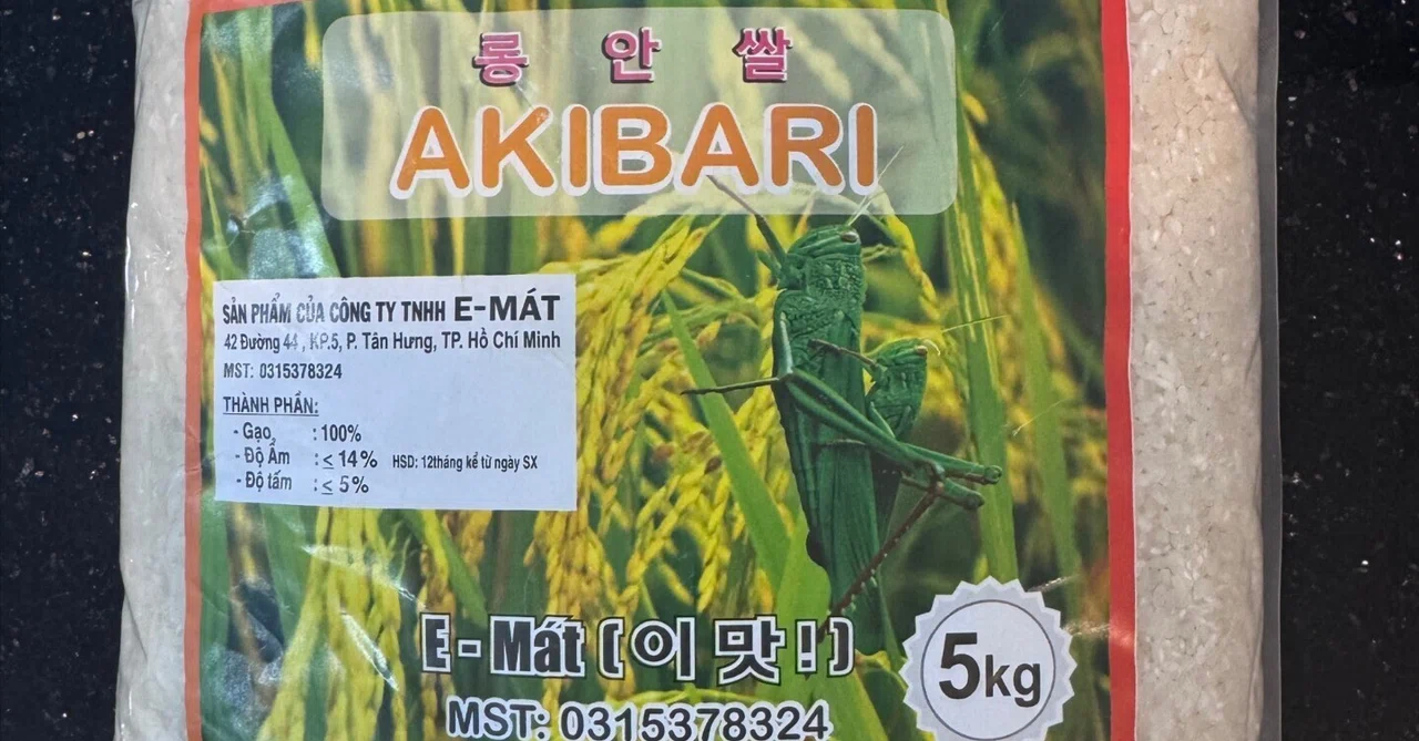 ベトナムで「白いごはん」を食べるまでの道のり。｜ainco_たべるくらす