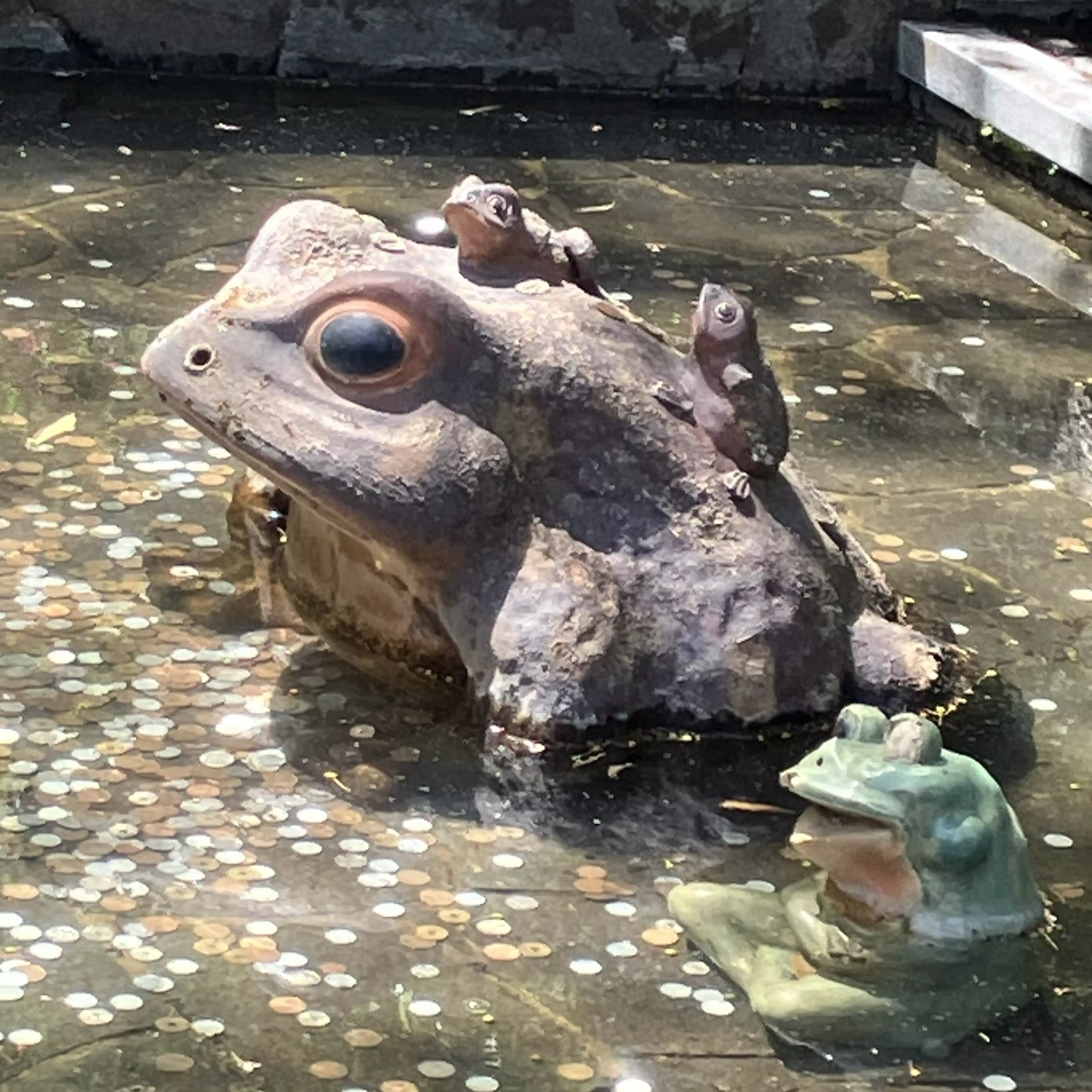 じゃりもこ