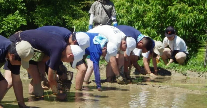 【「食」への感謝を体感！硬式野球部が挑む「棚田再生プロジェクト」】海南高校海南校舎