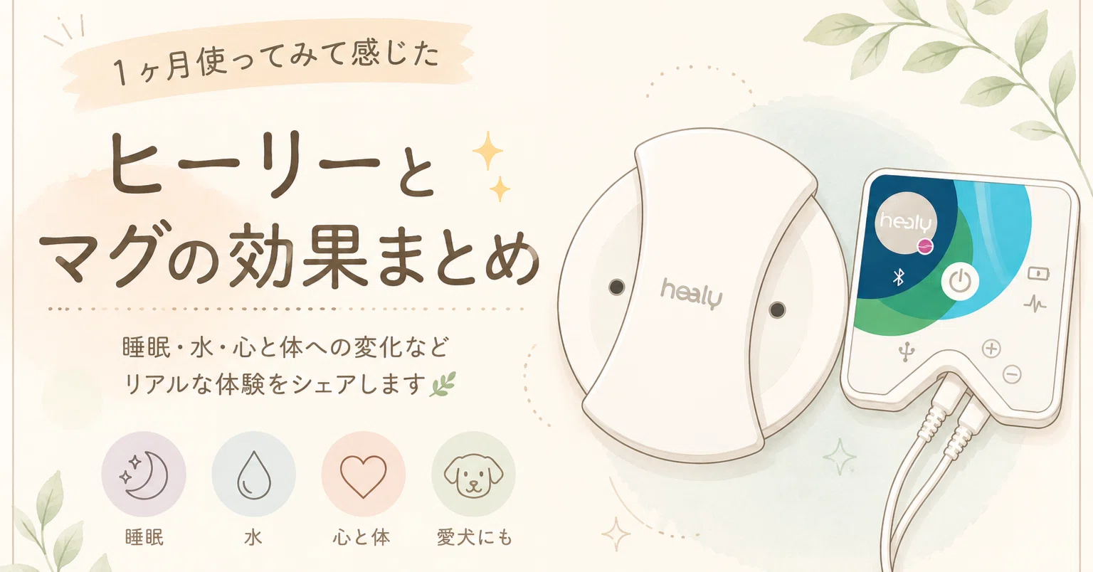 体幹アップ　Mag Healy 本体（空）　マグヒーリー　healy ヒーリー ヒーリー生活1ヶ月経過｜ゆめみん｜気づきの観察ログ