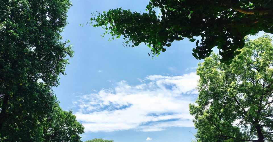 ことばを紡ぐための哲学 東大駒場 現代思想講義 で学んだ動詞的アプローチ 白川敬裕 弁護士 Note