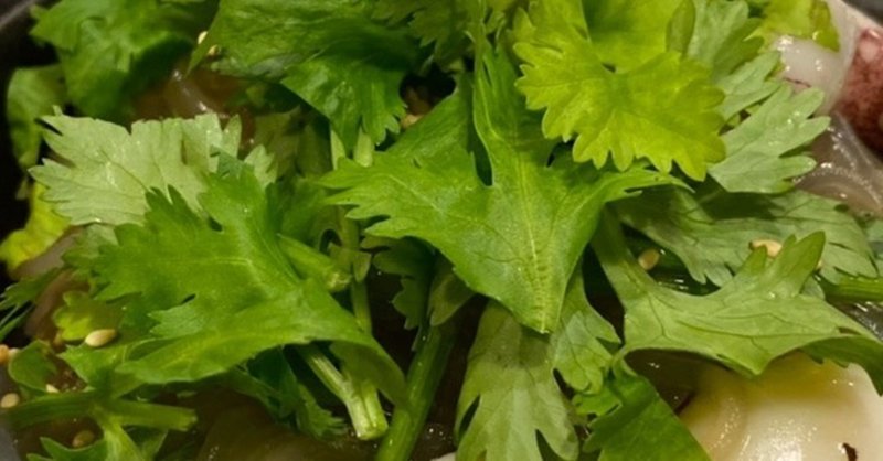 毎日筋トレ32日目 酒は飲んでも飲まれるな という話 パクチー長瀬 公式 Note