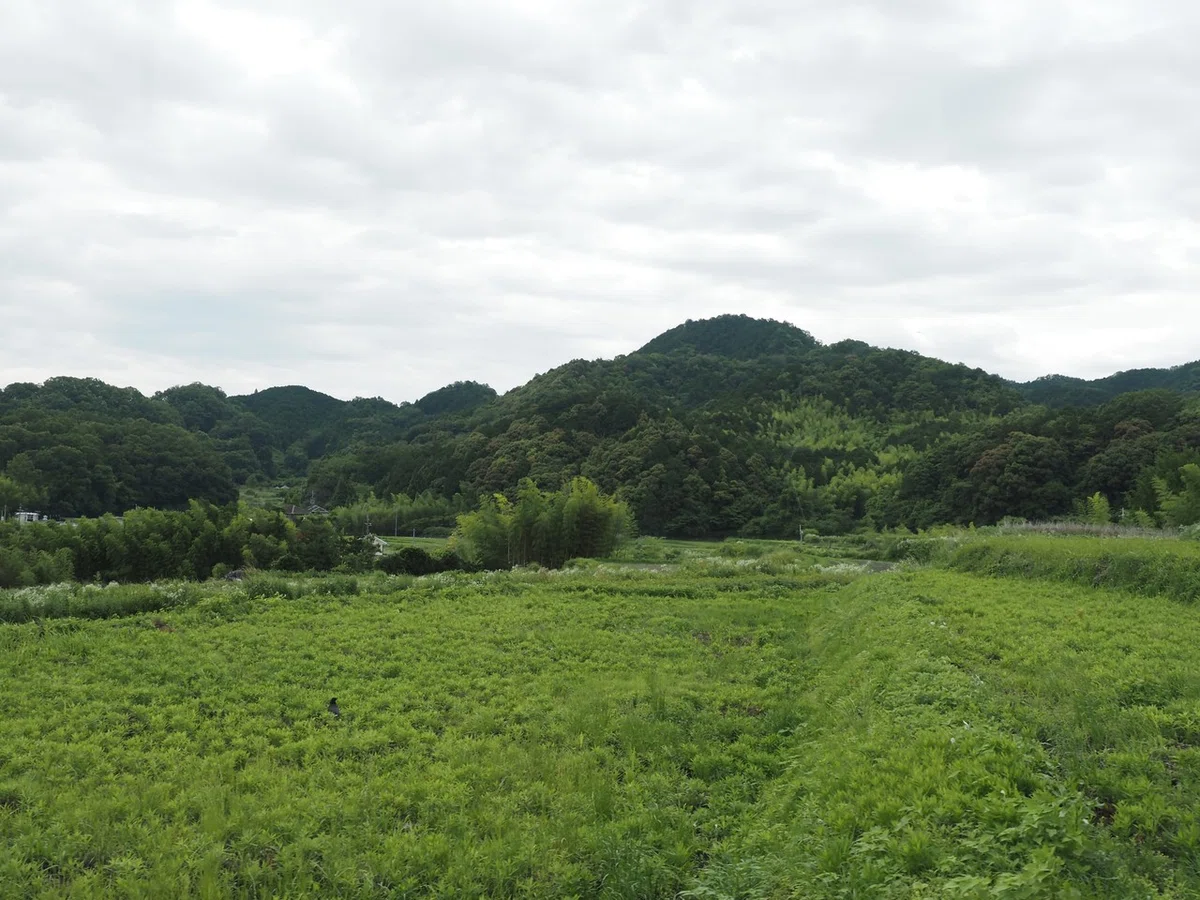 画像7