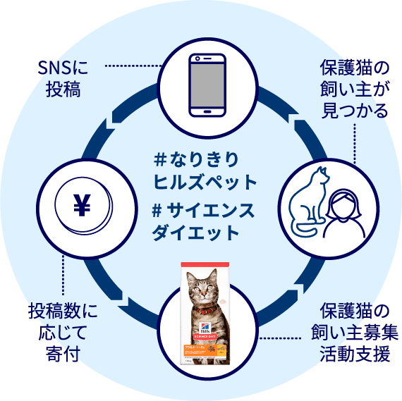 Hillsの猫なりきりチャレンジやってみた みやびちゃん寝る Note