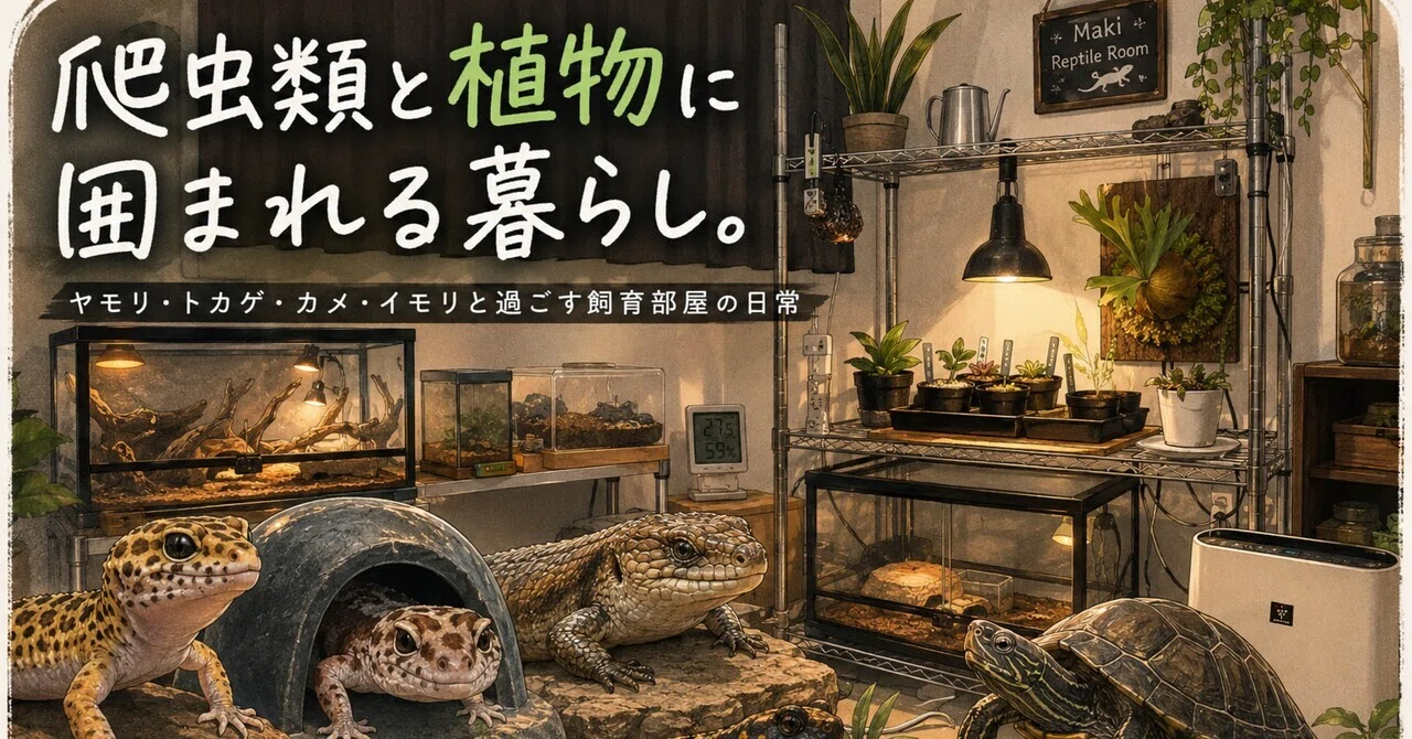 爬虫類と植物に囲まれる癒しの暮らし｜ヤモリ・カメ・ビカクシダと