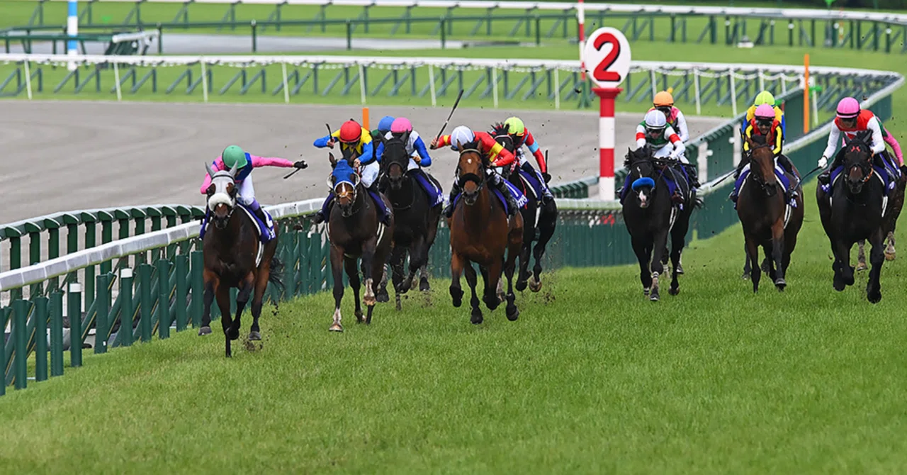 🏁 G1 宝塚記念2026 全頭診断 🏁｜玲音覇愛兎
