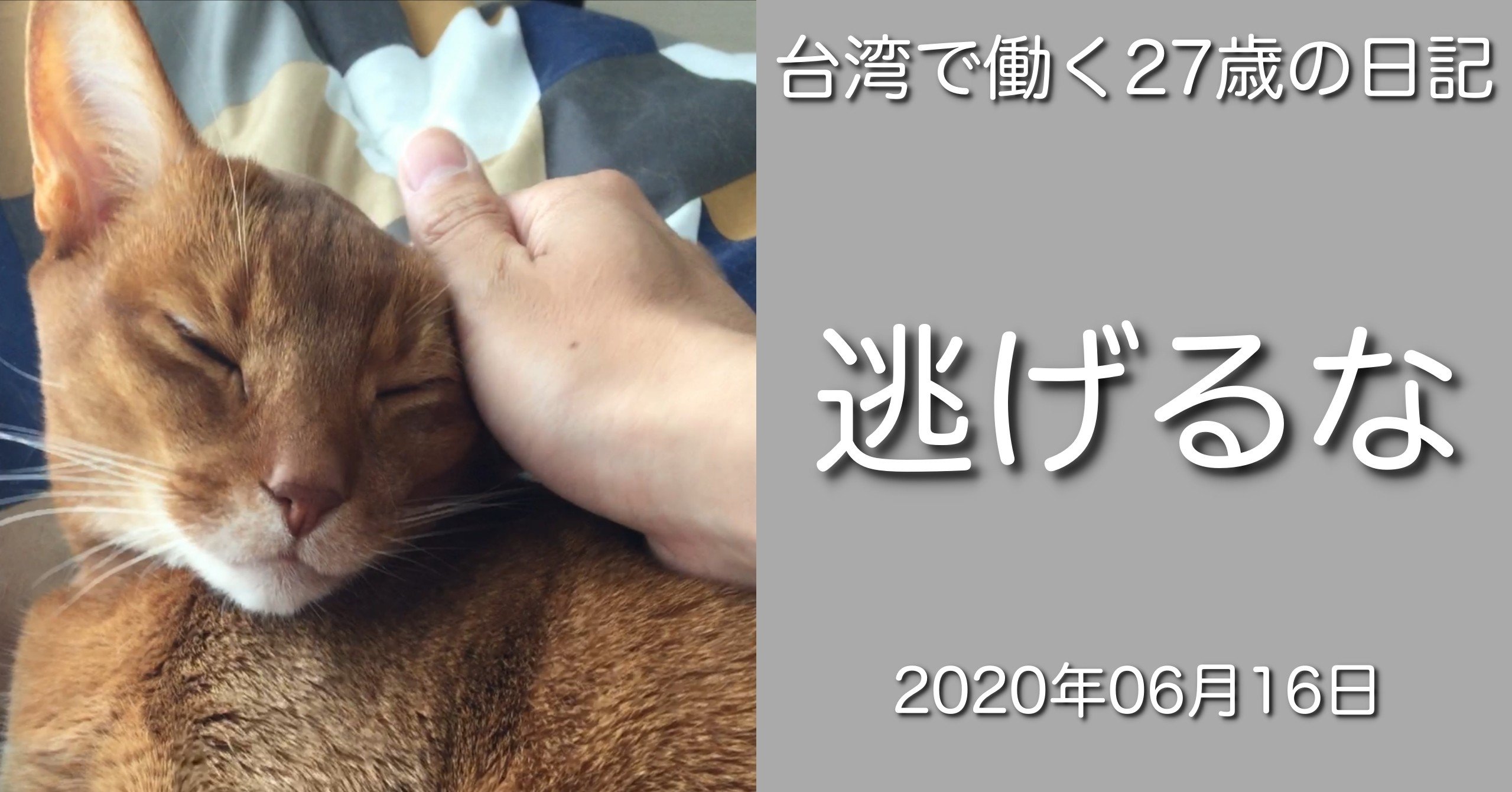 目の前の壁から逃げ続ければツケは30歳以降に回ってくる ナオ Note