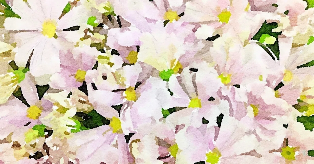 ほっとした一日｜tomomomomo