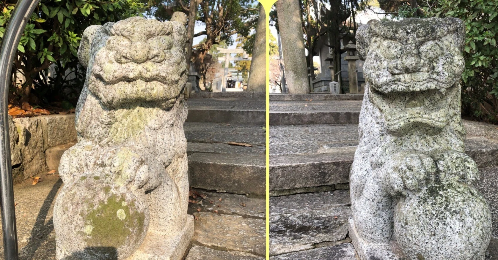 山口デスティネーションキャンペーン 宇部市｜藤井克浩