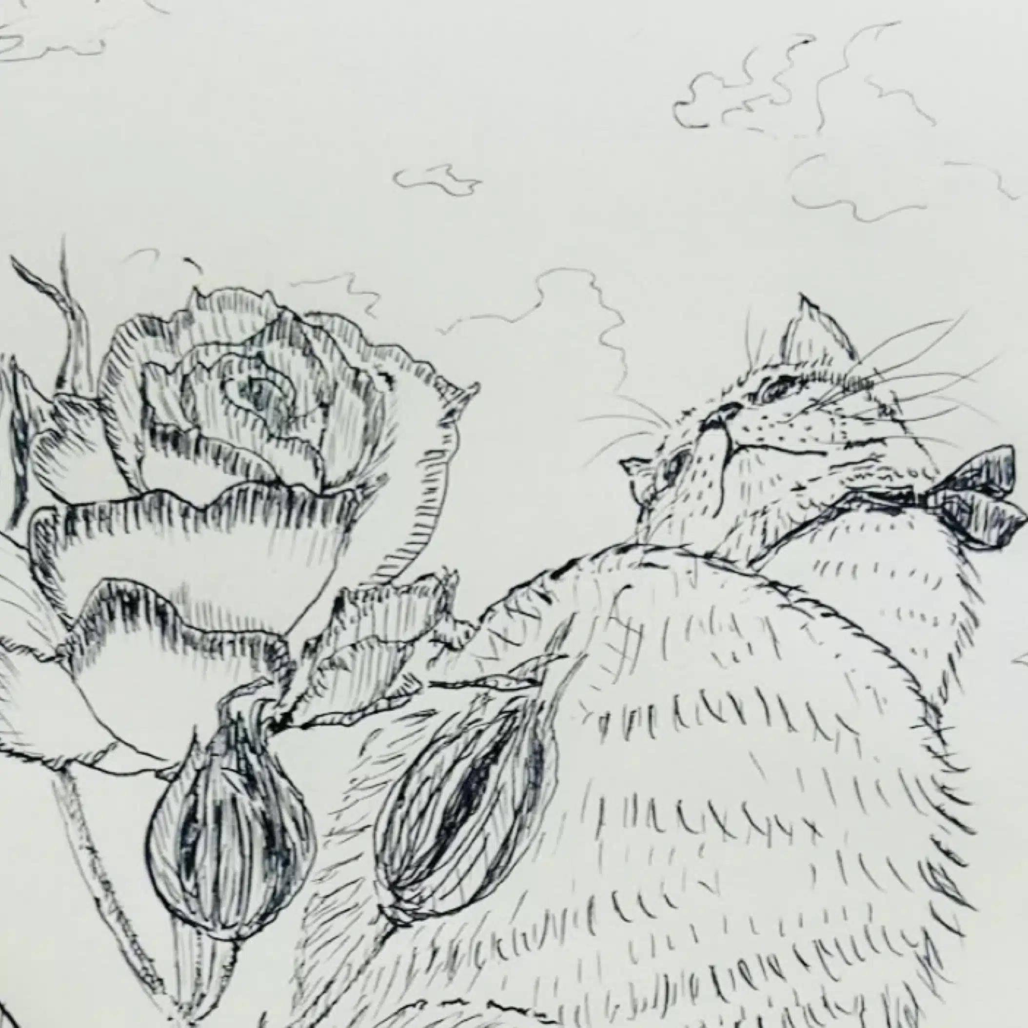 𝑌𝑣𝑚𝑖 ໒꒱⋆ﾟ𓍯 ‬ෆ