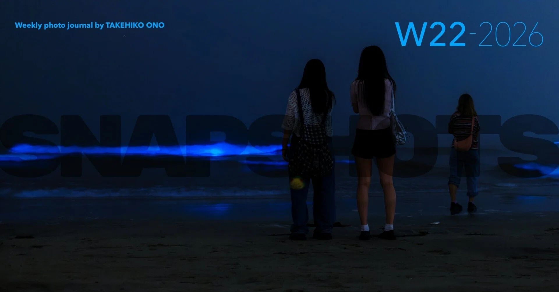W22-2026 | 由比ヶ浜の夜光虫｜Takehiko Ono