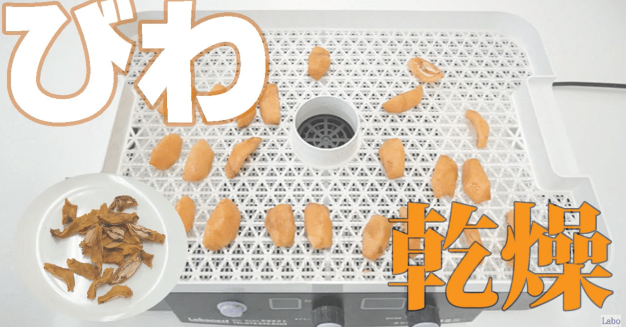 [ビワのドライフルーツ作り] 食品乾燥機で簡単自家製ドライフルーツ｜ラボネクト株式会社