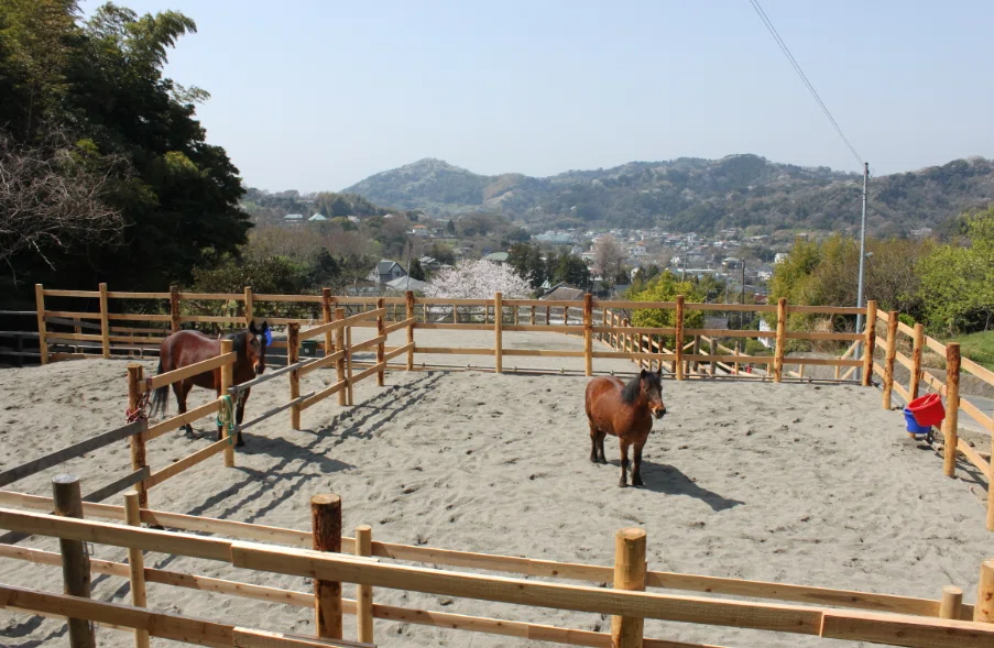 馬場