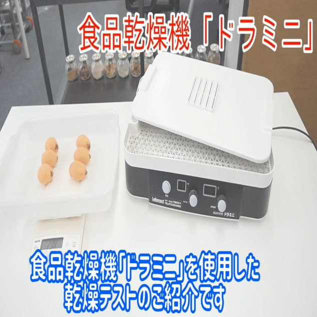 ビワのドライフルーツ作り] 食品乾燥機で簡単自家製ドライフルーツ