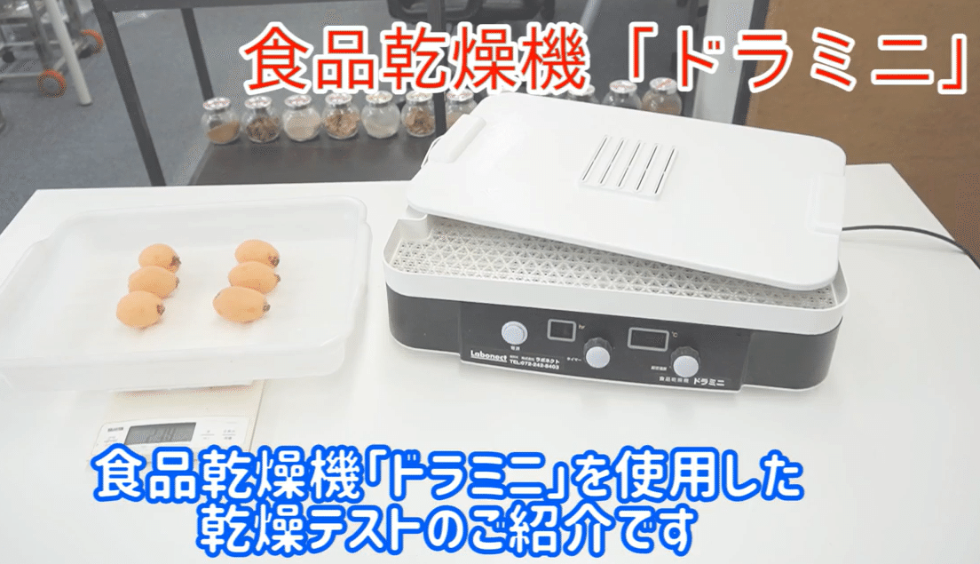 ビワのドライフルーツ作り] 食品乾燥機で簡単自家製ドライフルーツ
