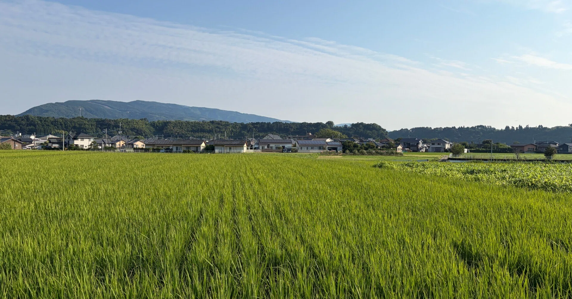 木城の風景・今日の言葉6月11日（木）｜宮崎県木城町