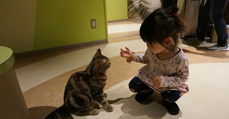 幼少期のおでかけは記憶に残らないから意味がない 2歳8か月娘の記憶 ミハル 子育てライター Note