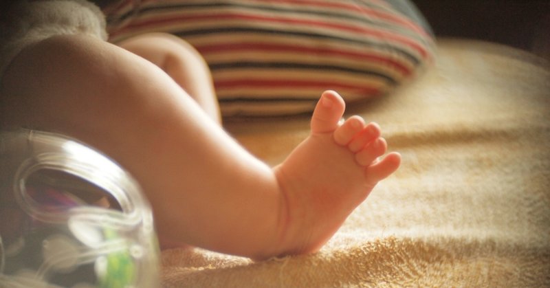 小さい爪 Nailsalon Sugarcane Note