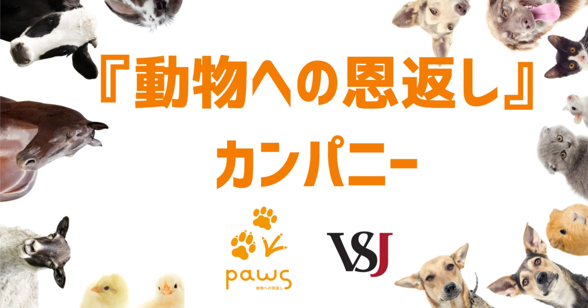 📢お知らせ】「動物病院経営の教科書」がマガジンからメンバーシップに
