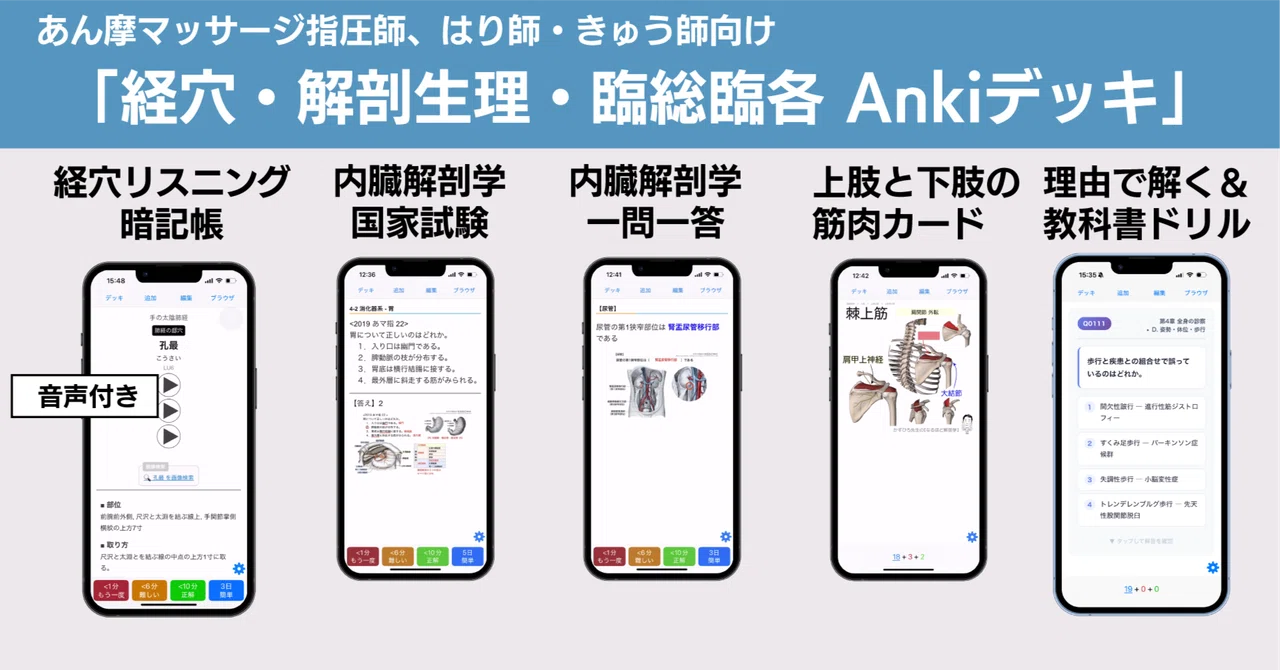 かずひろ先生 Ankiセット（経穴リスニング暗記帳・理由で解く過去問