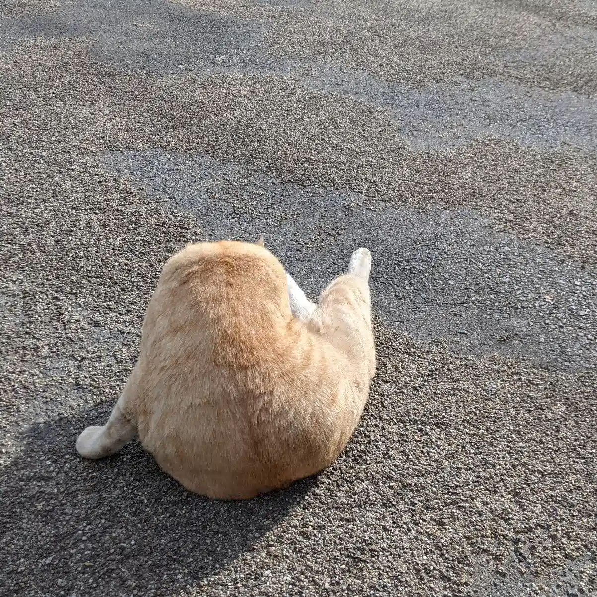 とあ