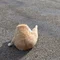とあ